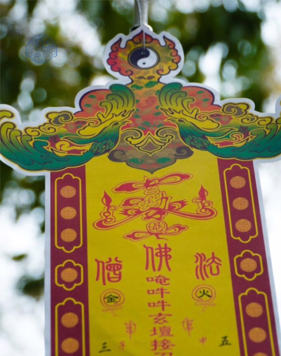 Phan vong giấy - Ảnh 3