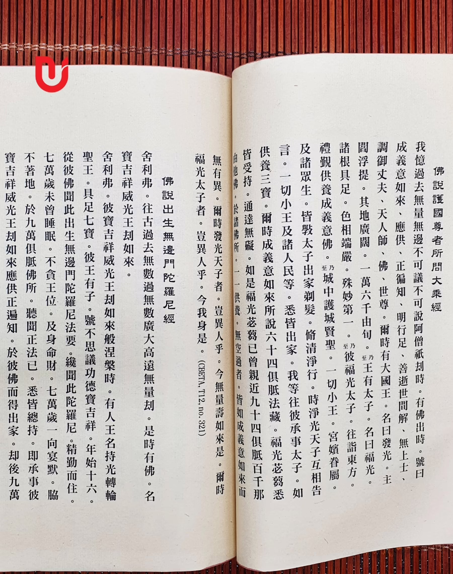 A Di Đà Phật Thánh Điển - Ảnh 2